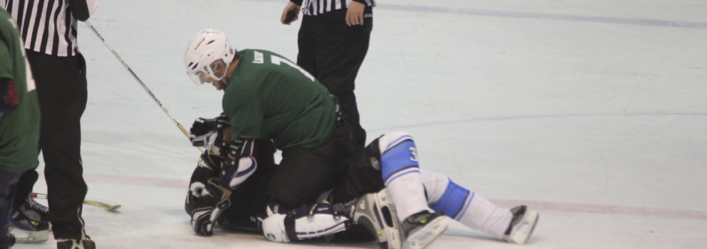Eishockey
